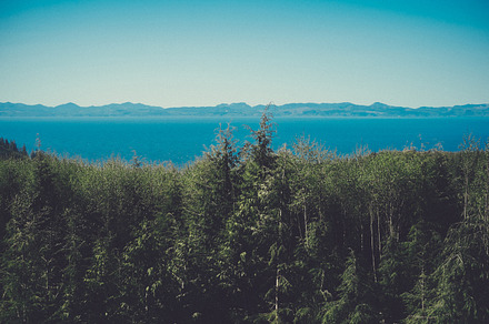 Port Renfrew preview 6