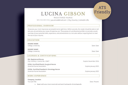 ATS Nurse Resume Template for word