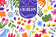 110 Colorful Floral Clipart, an Object Graphic by Zeukaa (Thumbnail 1 of 7)