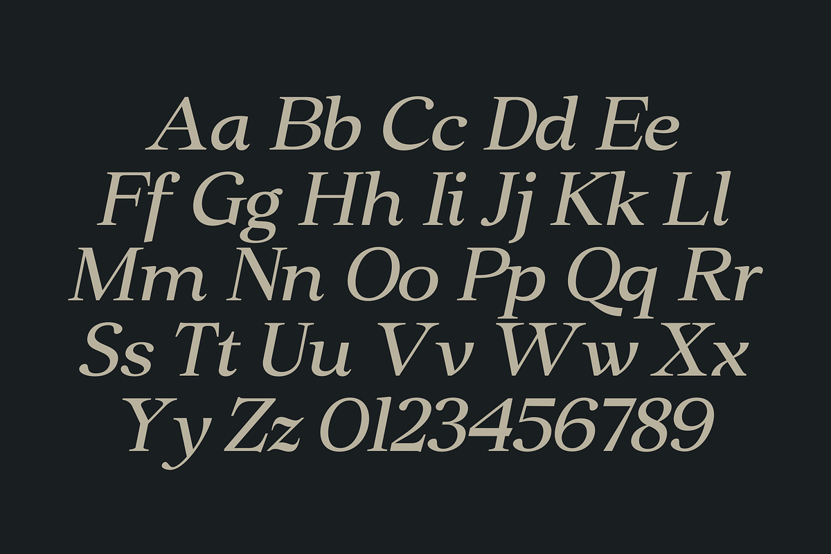 Clarton - Elegant Serif Font, a Serif Font by Marvadesign (Photo 5 of 9)