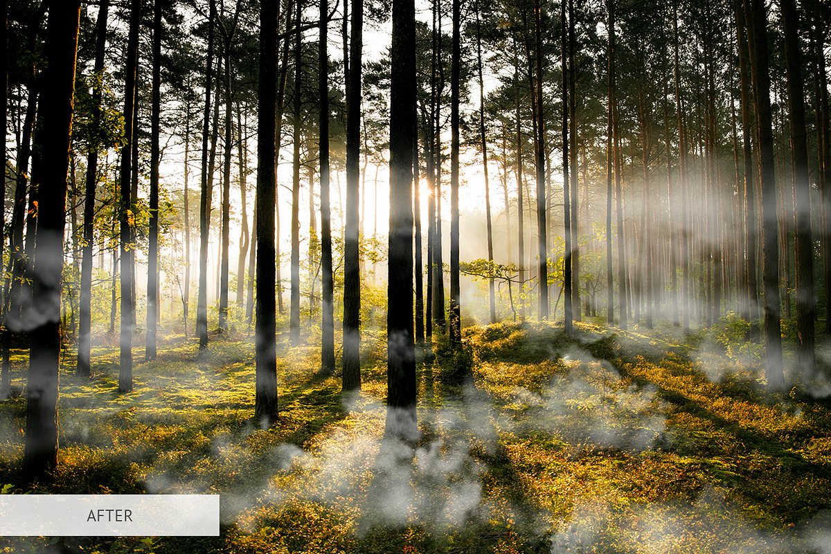 White Smoke Photoshop Overlays, a Plug-in Add-On by FixThePhoto (Photo 32 of 34)