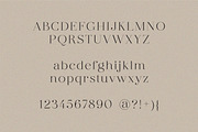 dear ivy, fashion modern serif, a Serif Font by Harmonais Visual (Thumbnail 15 of 16)