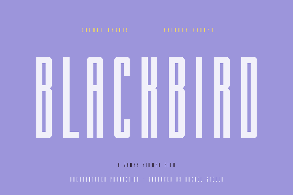 Langella Tall Font Family (16 Fonts), a Sans Serif Font by alpercakici (Photo 2 of 16)
