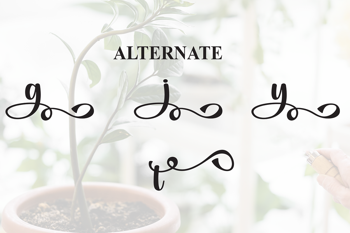 Staylive | Script Font, a Handwritten Font by Scratchones (Photo 8 of 9)