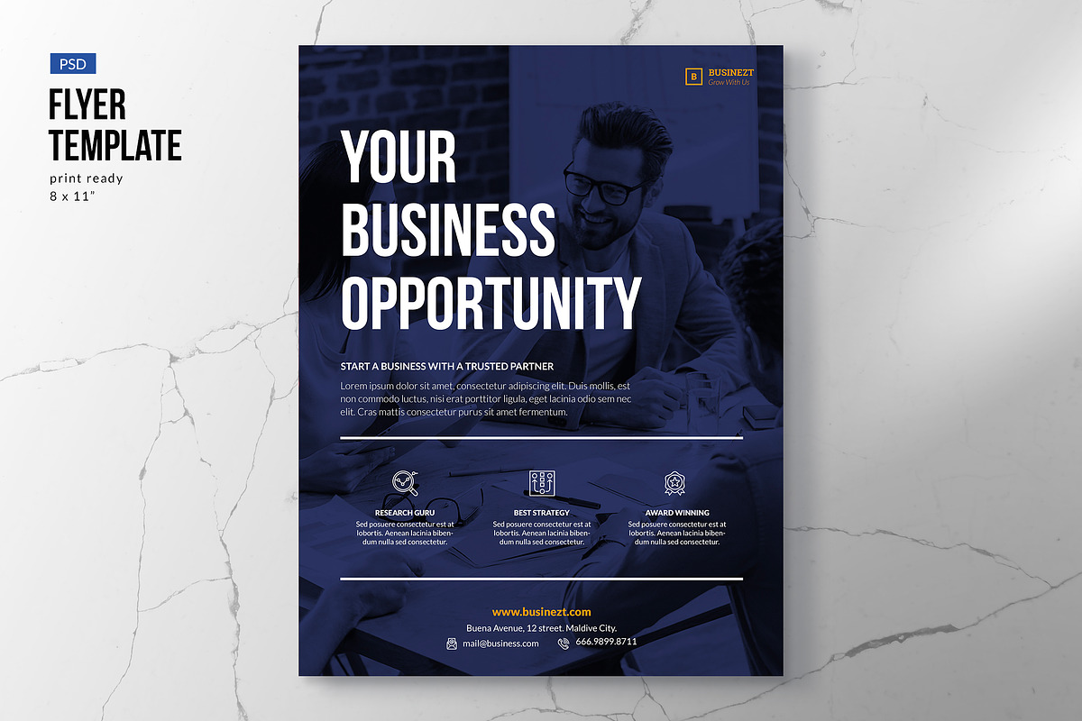Business Flyer Template, a Flyer Template by Slidehack
