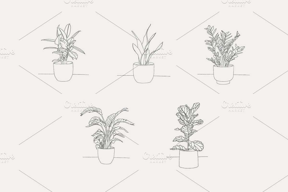 House Plant-Vector Illustration Pack, an Illustration by Lovendear Design (Photo 4 of 9)