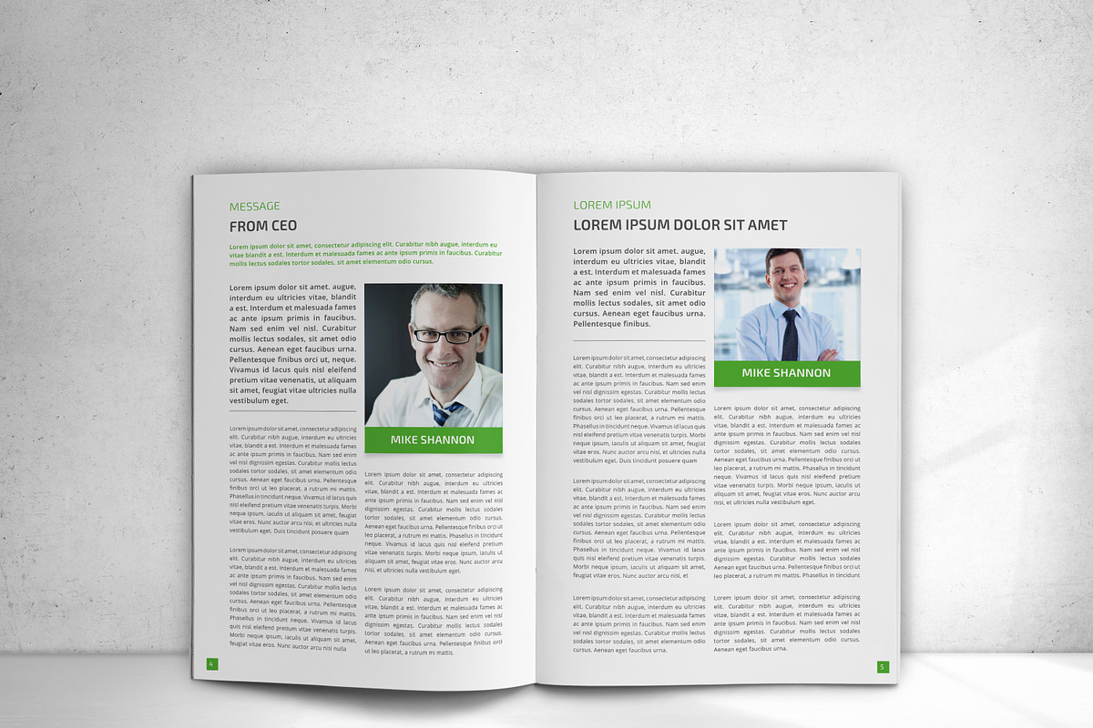 Renewable Energy Brochure, a Brochure Template by design_pick (Photo 4 of 16)