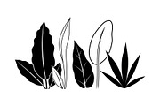 Minimal Botanical Leaf Silhouette Bu, an Illustration by Creativeshirt (Thumbnail 23 of 51)