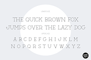 BARN ACRE SKETCH FONT, a Serif Font by Blush Font Co. (Thumbnail 5 of 7)