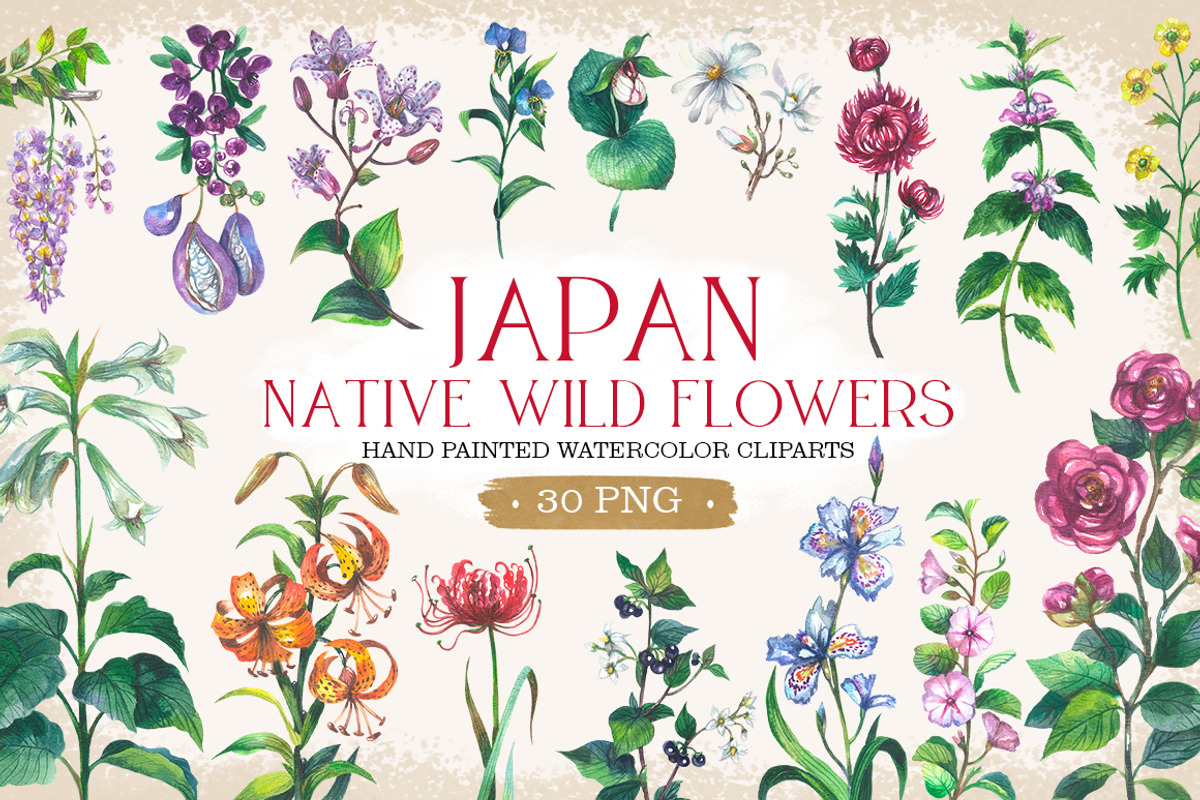 Japan native wild flowers watercolor, a Decorative Illustration by FITALARTSNEDIGI (Photo 1 of 8)