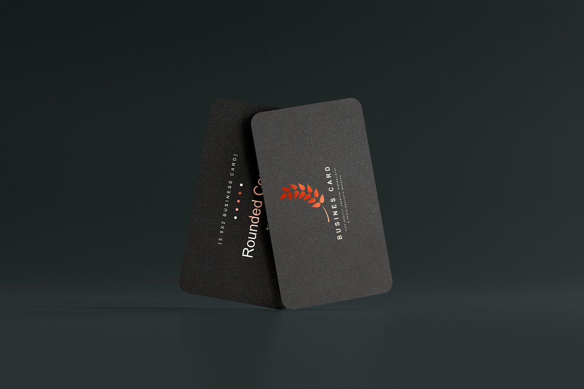 Rounded Corner Business Card Mockups, a Print Template by pmvch (Photo 15 of 20)