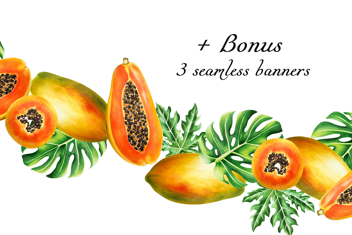 Papaya clipart in botanical style, a Food Illustration by Navenzeles (Photo 4 of 12)