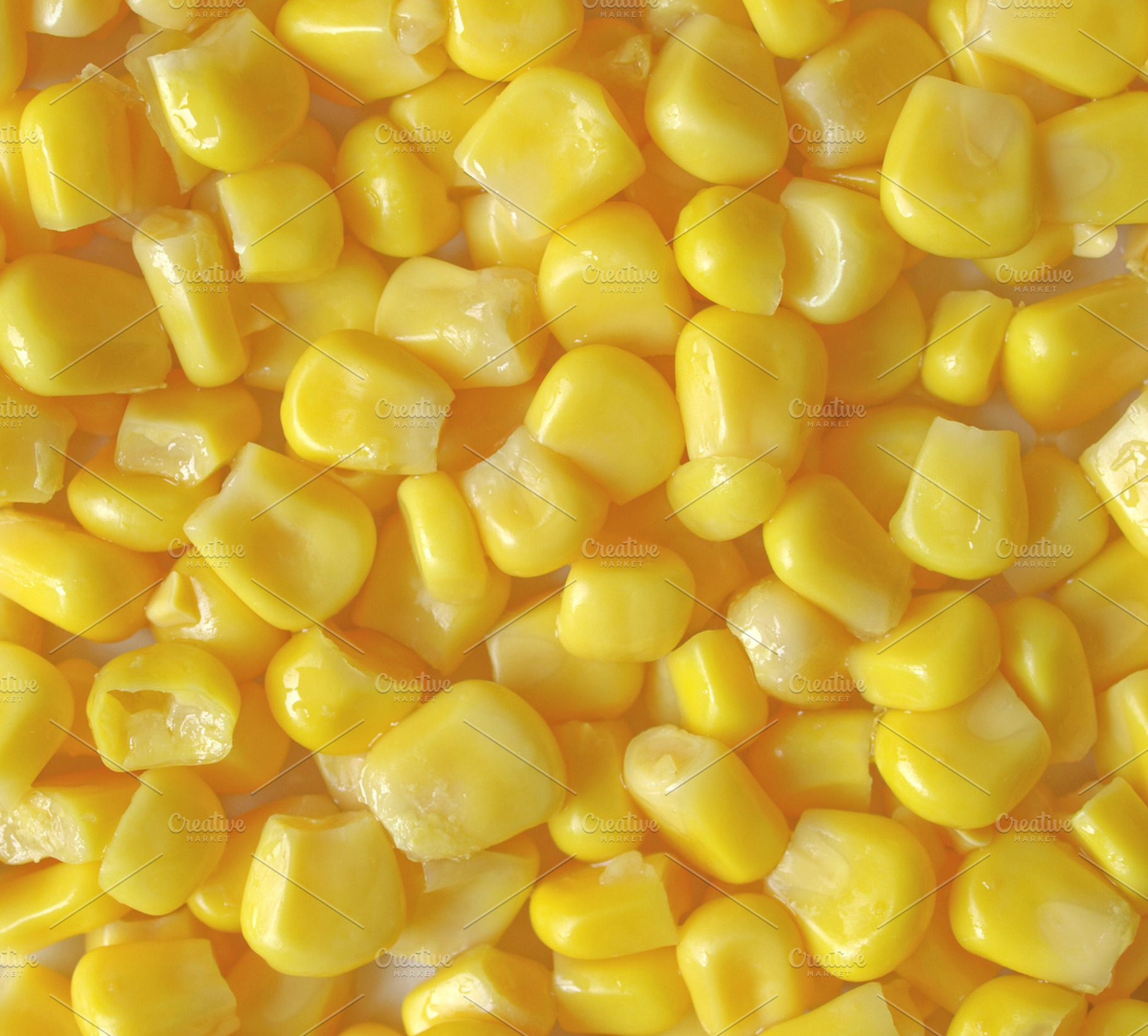 Maize containing maize, corn, and mais
