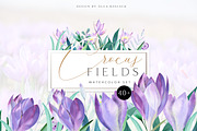 Spring Crocus Flowers Watercolor set, an Illustration by Olga Koelsch (Thumbnail 1 of 8)