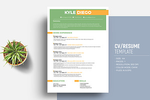 Job Winning Resume/CV Template