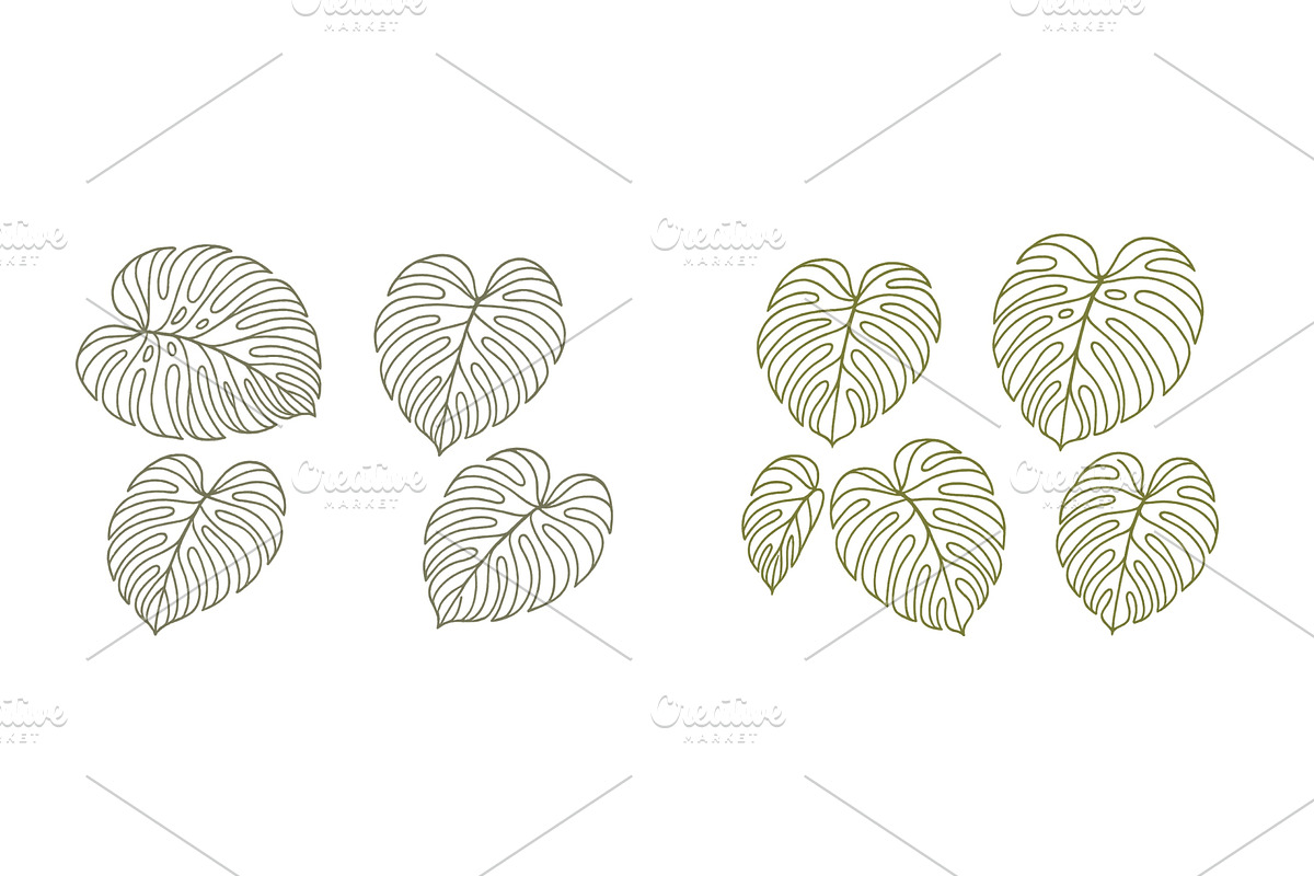 Monstera leaf designs in various, an Illustration by ZinetroN