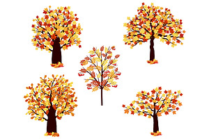 5 Autumn Trees