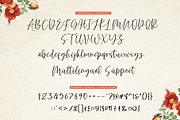 Hollidely | a handwritten script, a Script Font by Beautypes (Thumbnail 6 of 10)