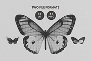Halftone Butterfly Clipart, an Object Graphic by JulsIst (Thumbnail 3 of 7)