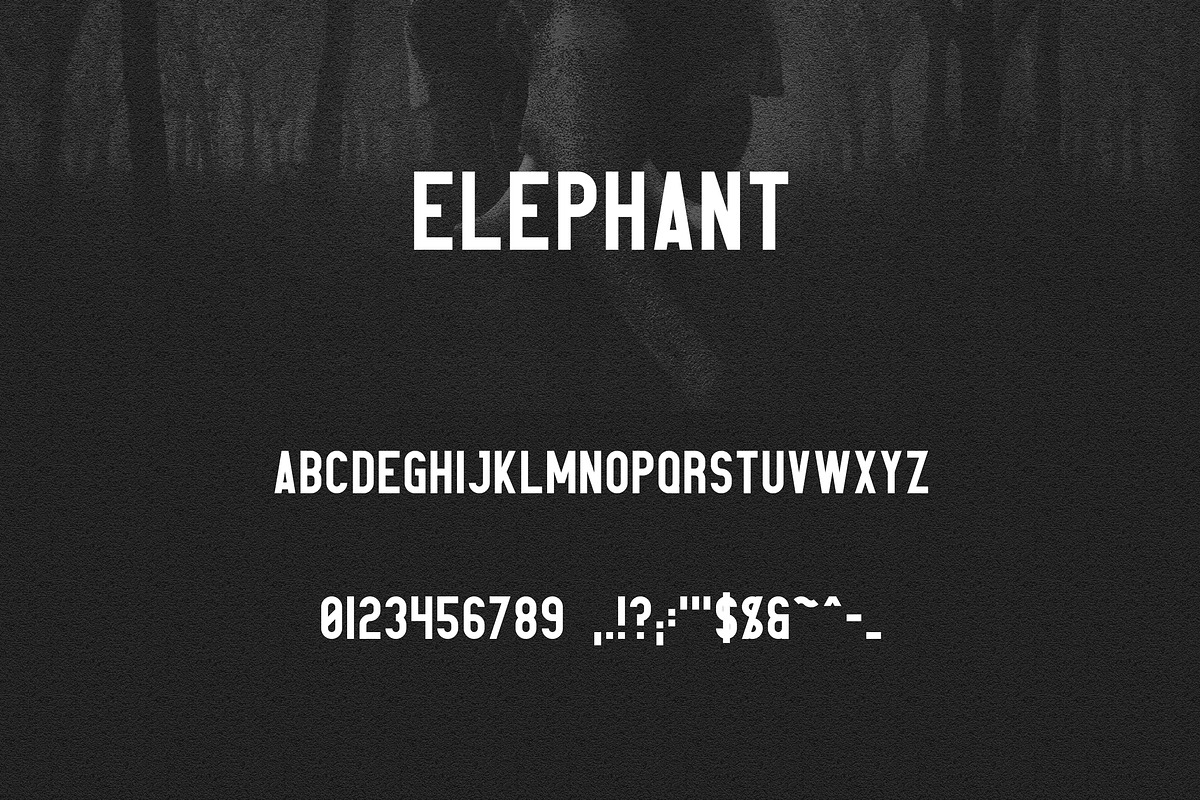 Elephant Font Family -50% preview 8
