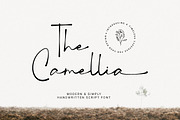 The Camellia - Modern Handwritten, a Handwritten Font by Bluestype Studio (Thumbnail 1 of 8)