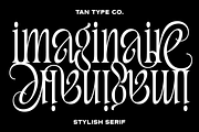 TAN - IMAGINAIRE, a Serif Font by TanType (Thumbnail 1 of 12)