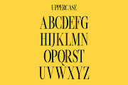 Beachwalk | Elegant Retro Serif, a Serif Font by Muntab_Art (Thumbnail 8 of 13)