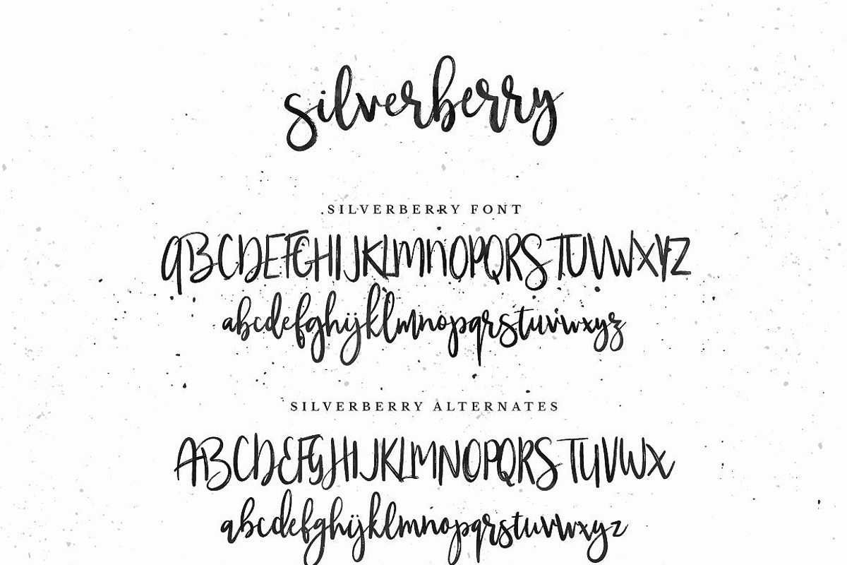Typographer's Dream Box + 200 Logos, a Script Font by Mats-Peter Forss (Photo 102 of 130)