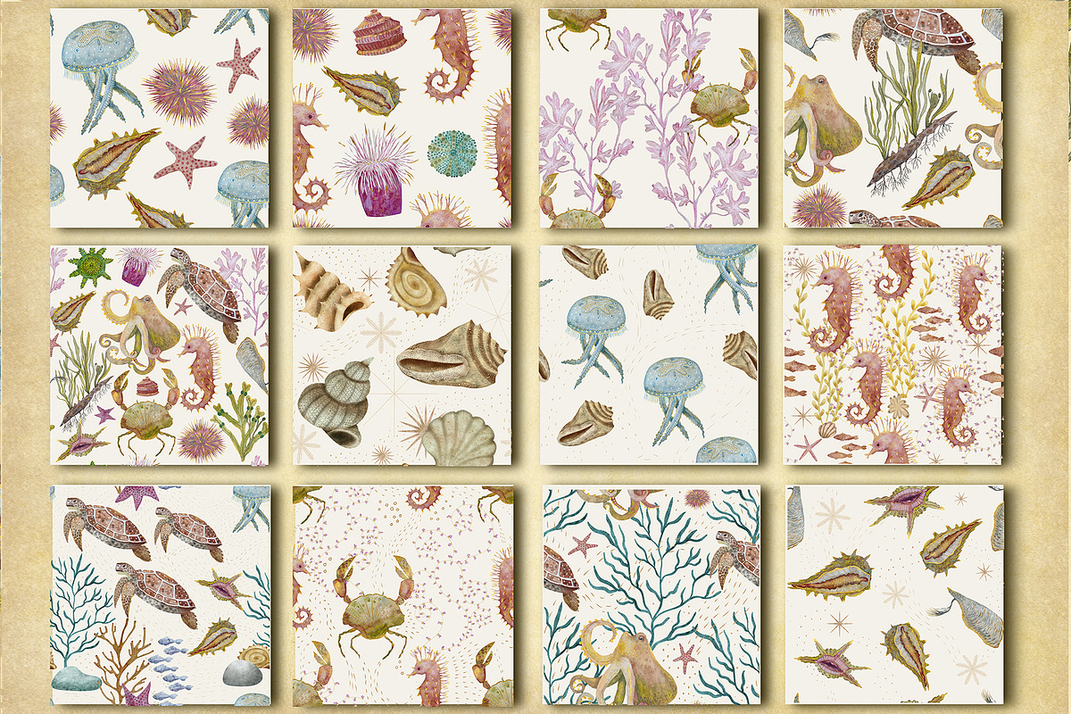 Marine Naturalist Collection, a Graphic by Kattypainting (Photo 5 of 10)