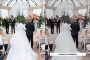 20 Wedding Lightroom Presets and LUT, a Preset Add-On by SparkleStock (Thumbnail 12 of 16)