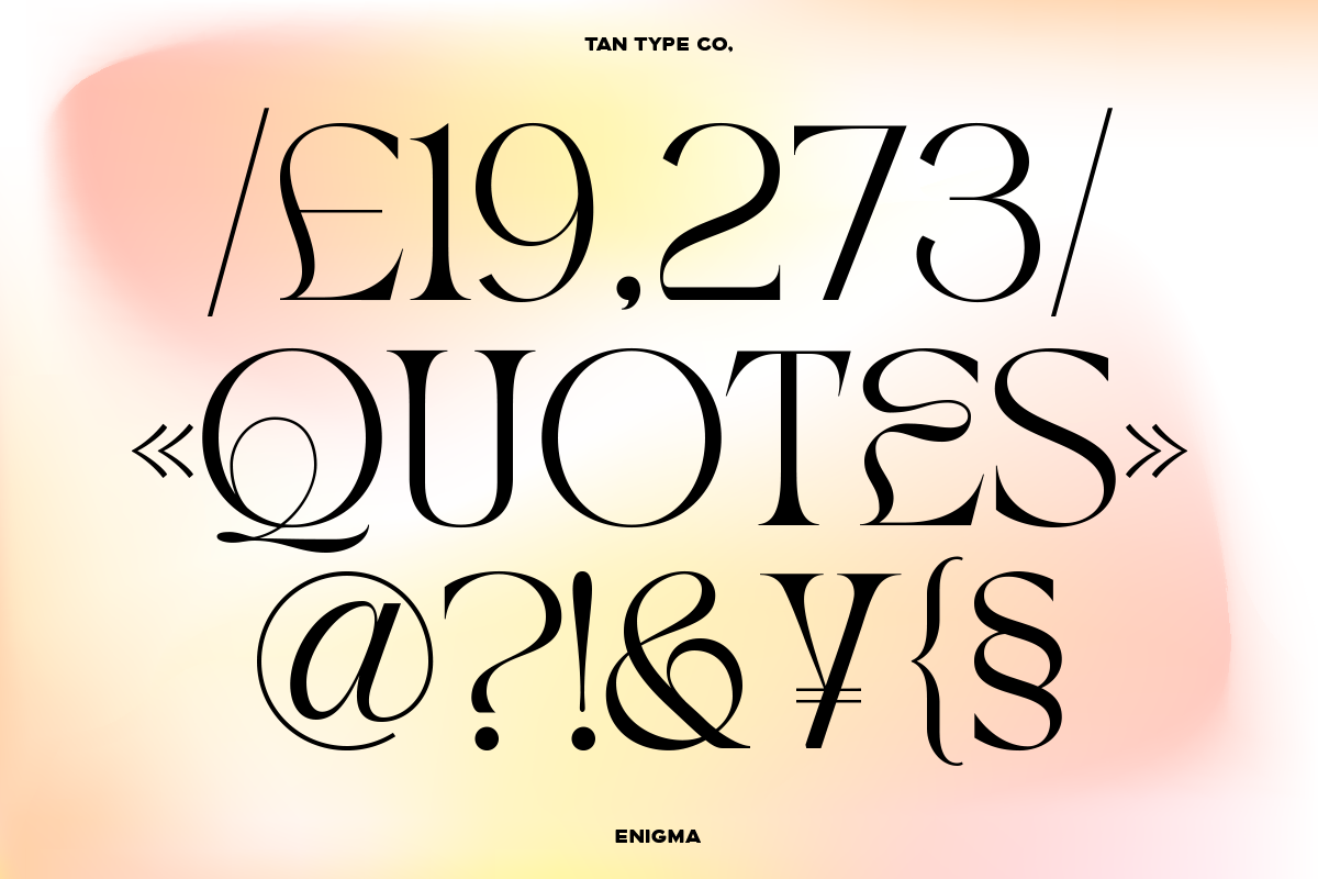 TAN - ENIGMA, a Serif Font by TanType (Photo 14 of 16)