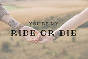 American Traditional + Free Flash!, a Serif Font by Midnight Grim (Thumbnail 6 of 8)