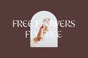 Blancat Mouris Serif, a Serif Font by Typegoals Studio (Thumbnail 3 of 9)