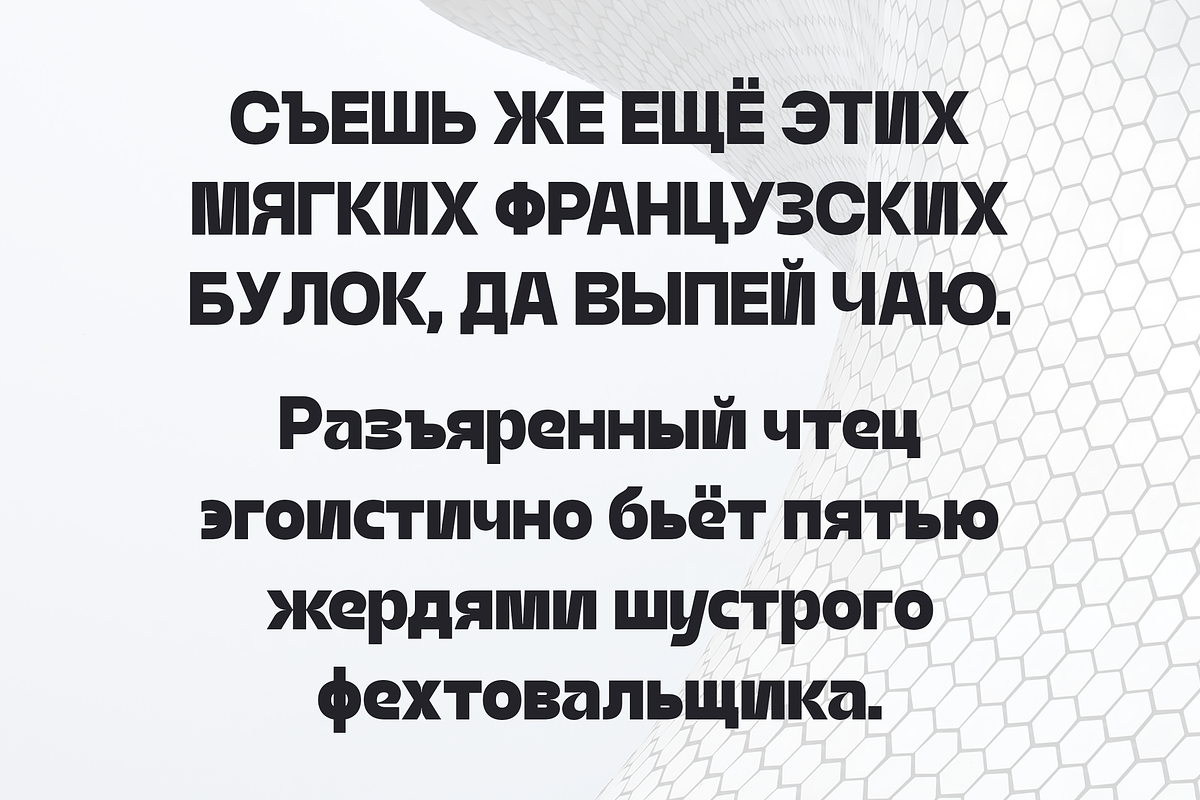 Signate Grotesk - Black Style, a Sans Serif Font by Sign Studio (Photo 8 of 9)