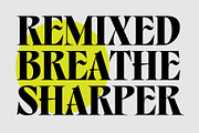 Belma, a Serif Font by Adam Fathony (Thumbnail 6 of 14)