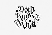 Bolin Dariske Elegant Serif Font, a Serif Font by Perfectype (Thumbnail 2 of 6)