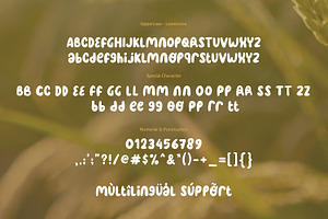 Oryza Sativa - Organic Font Duo