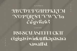 Regal - Curving Stylish Font