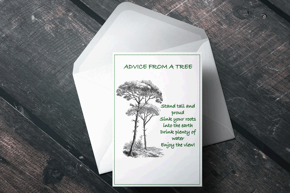 35 Trees PNG, an Object Graphic by Alexandra Fulger (Photo 3 of 6)