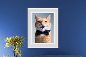 Wall Photo Mockups