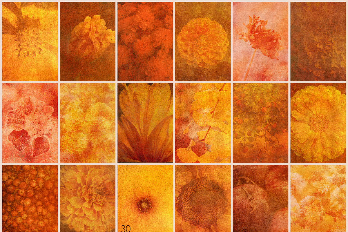 FloraAmber · Botanical Backgrounds, a Background Graphic by alonahaidash (Photo 10 of 16)