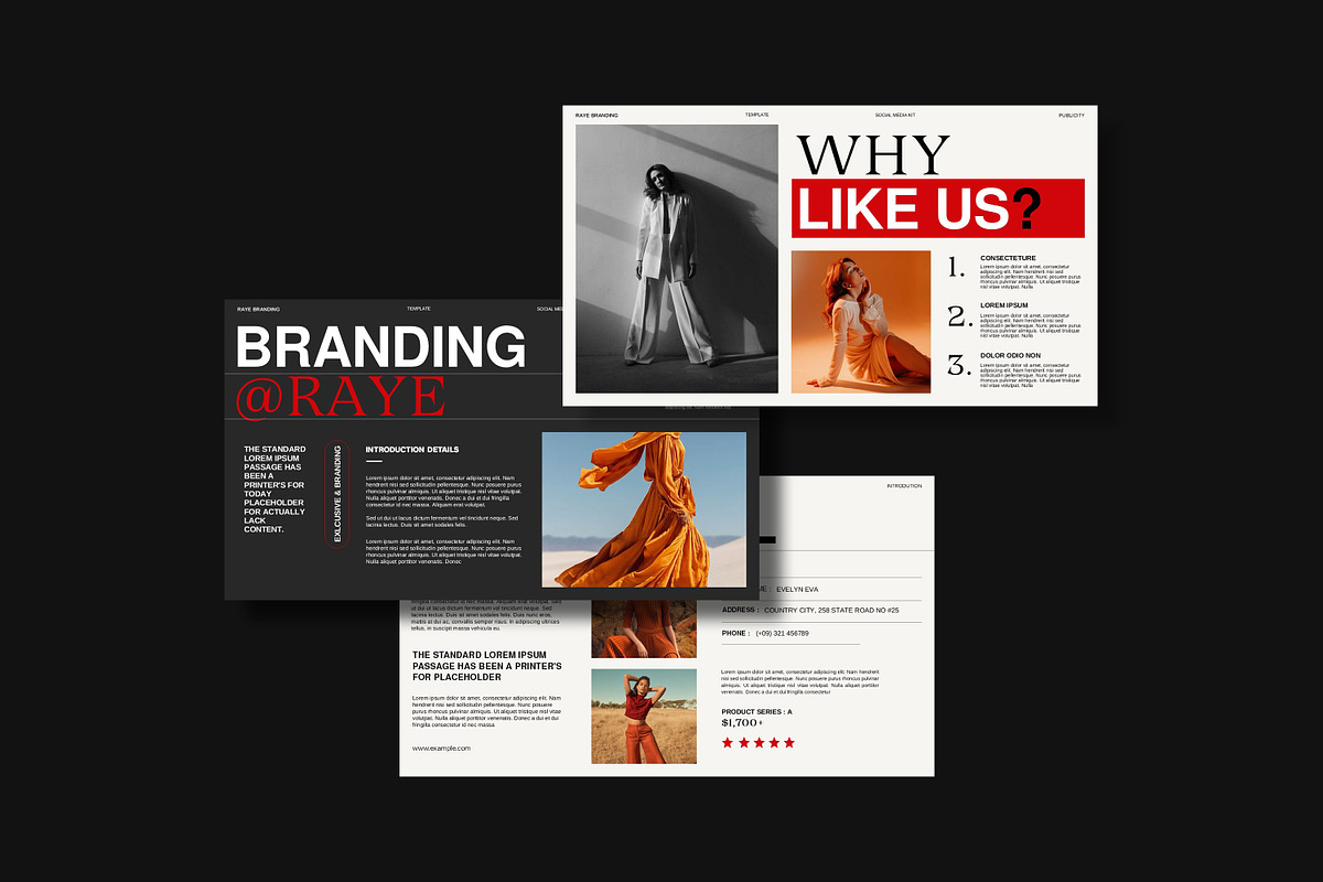 Media Kit Template, a Presentation Template by slidestock55 (Photo 10 of 11)