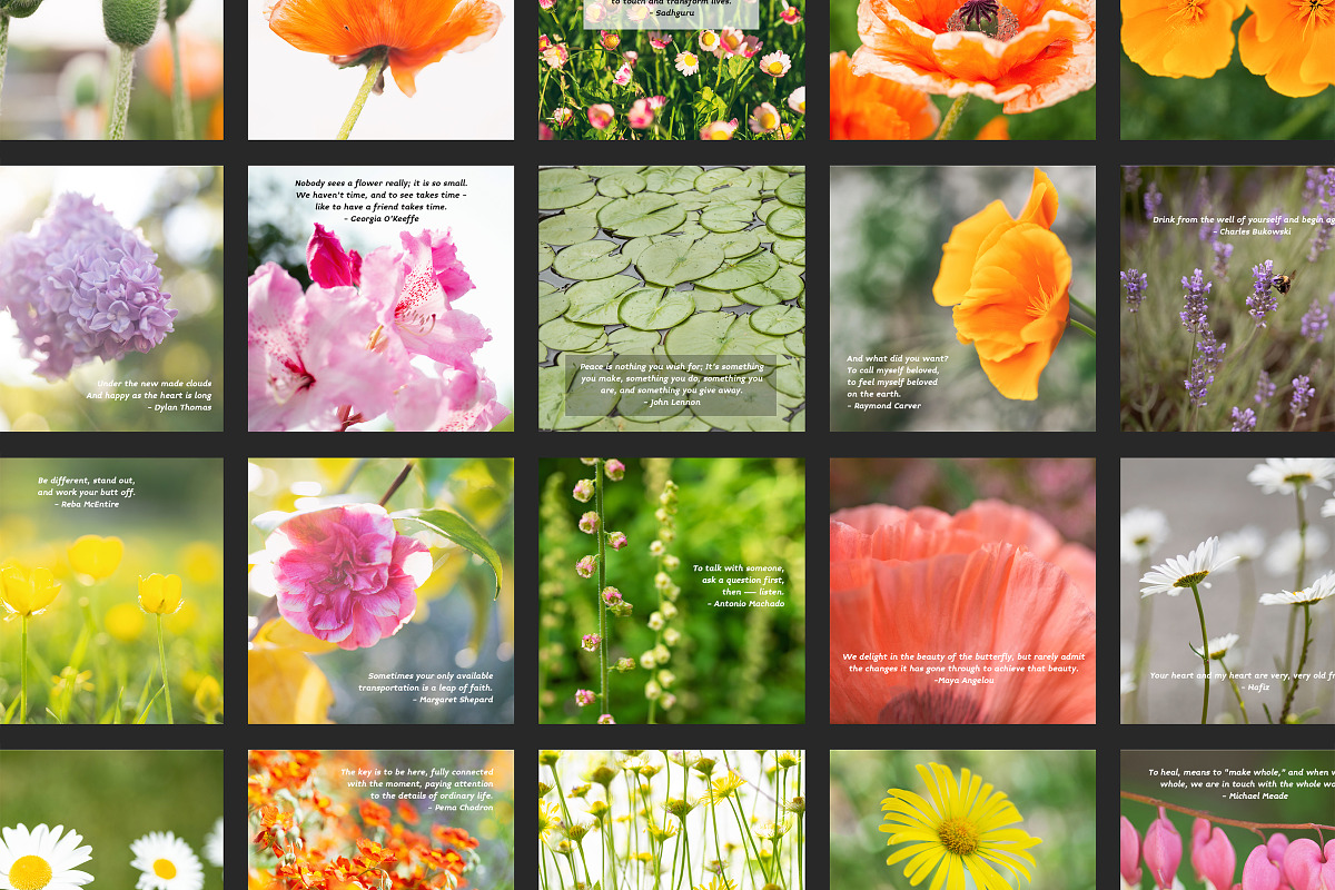 Flower Therapy Instagram Posts, a Social Media Template by minersgold (Photo 5 of 7)