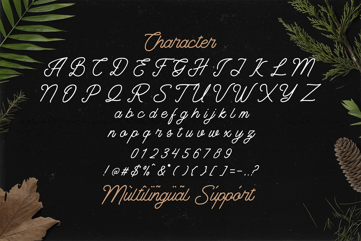 The Banten - Monoline Script Font, a Script Font by StringLabs (Photo 11 of 12)