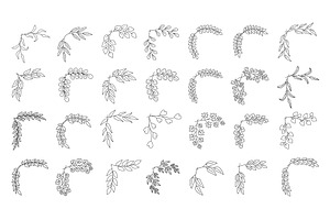 A collection of decorative leafy, an Object Illustration by Woters little shop