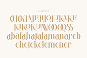 Evaida, a Serif Font by Kenrichi (Thumbnail 11 of 11)