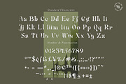 Mistic Typeface, a Serif Font by alit design (Thumbnail 6 of 12)
