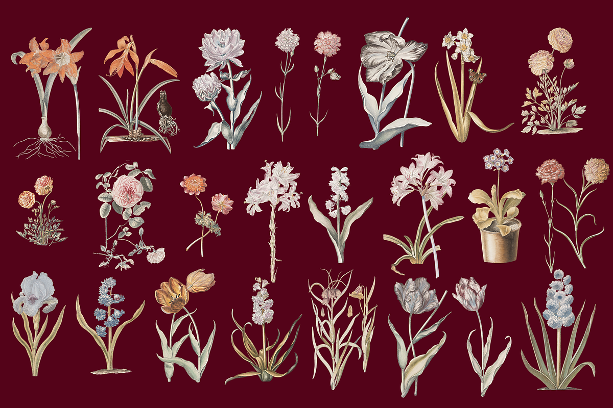 Hortus Vintage Flowers Cliparts, a Decorative Illustration by Lilithcollageart (Photo 5 of 12)