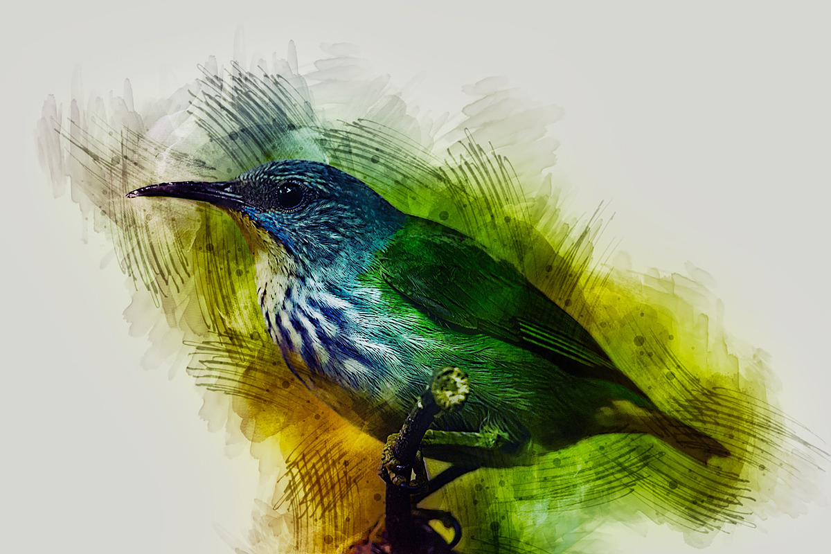 Pro Watercolor Paint, an Action Add-On by MRI STUDIO (Photo 3 of 18)