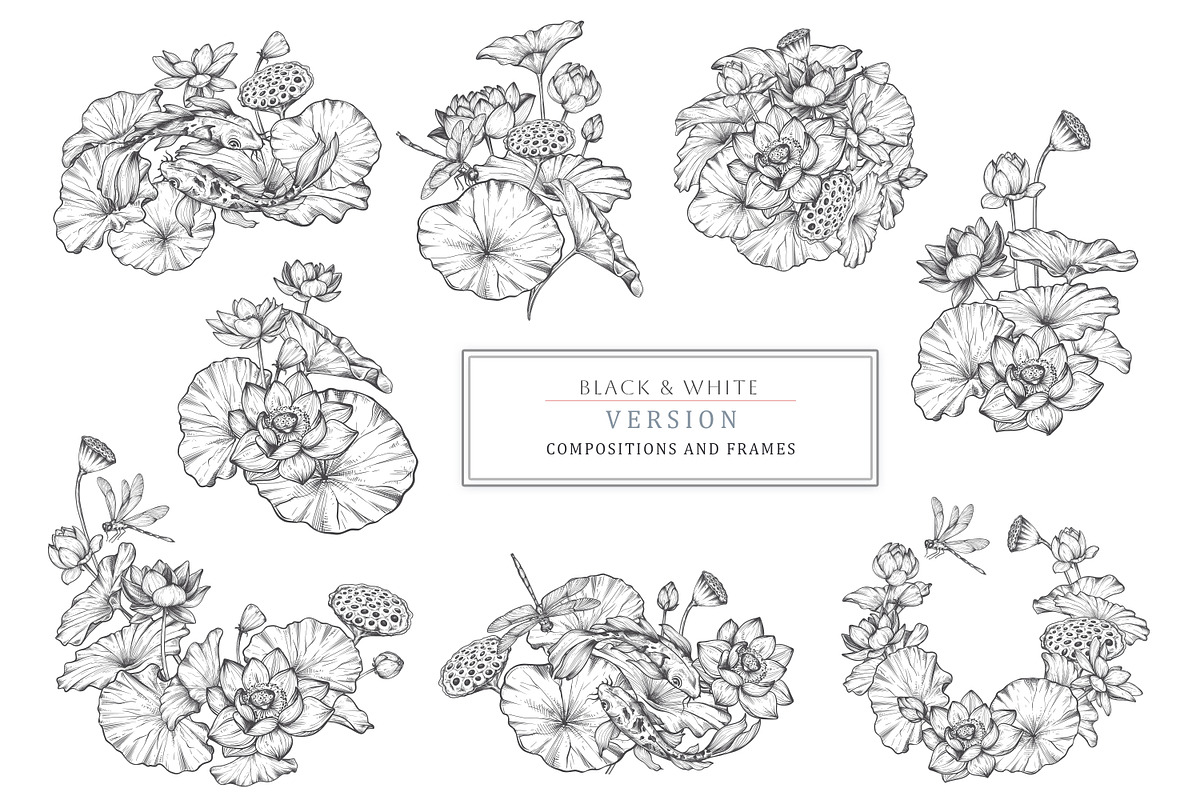 Lotus Blossom Vector Collection, a Pattern Graphic by Molly art (Photo 15 of 16)